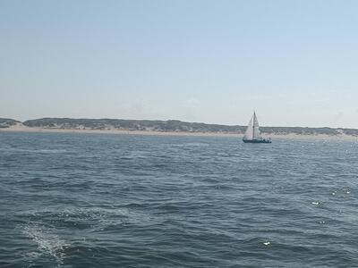 img-20240518-155154-197 img-20240518-155154-197